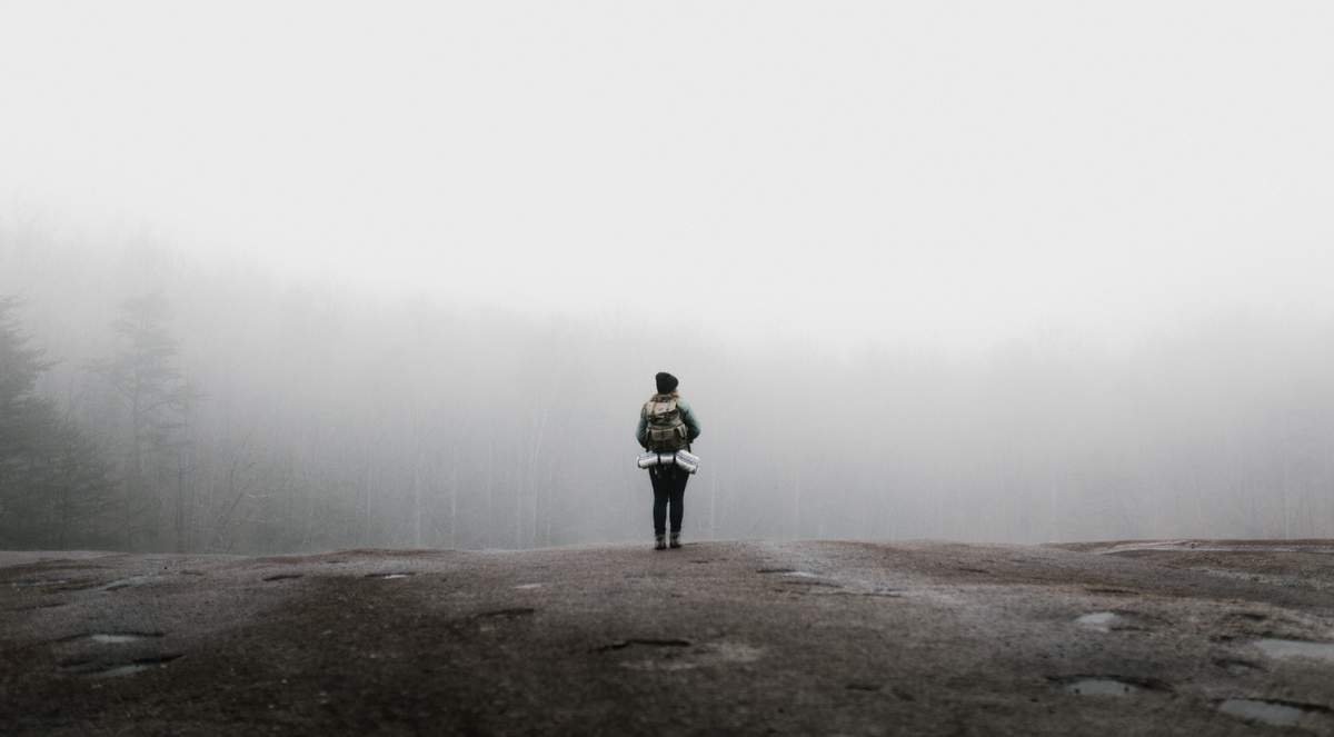 person standing in front of foggy woods ahead of them